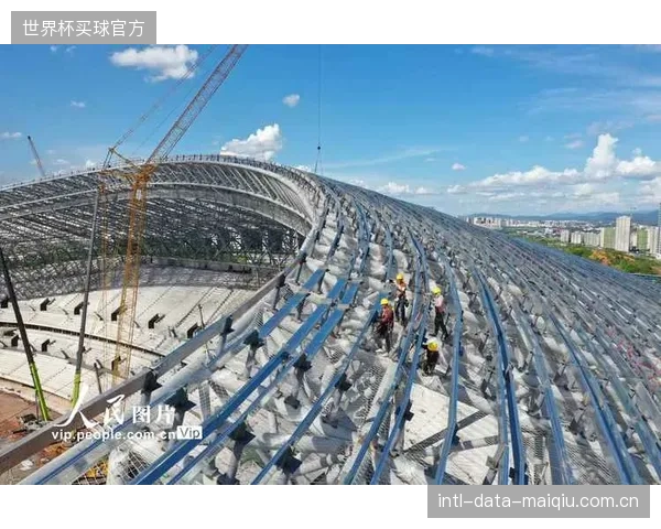 本轮入奥周期标志着:以项目为核心的精干型赛事公司,开始取代传统单项协会的部分市场职能 本轮入奥周期标志着:以项目为核心的精干型赛事公司,开始取代传统单项协会的部分市场职能